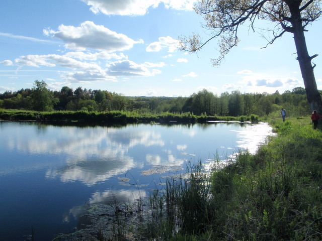 Budowlana, 120,880 m2, Bobolice  (11)