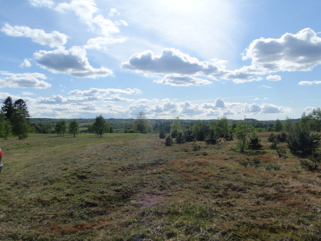 Działka 1.0000ha,m. Bobolice,las,piękny widok, (1)