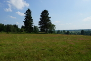 Działka 1.0000ha,m. Bobolice,las,piękny widok, (8)
