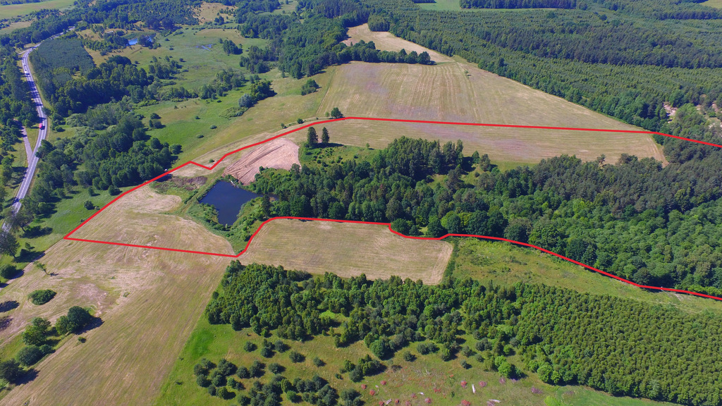Działka 2.3103ha,m.Bobolice,las,dr.asfaltowa. (5)