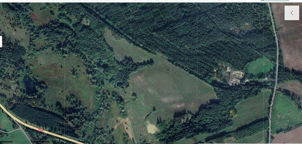 Działka 2.3103ha,m.Bobolice,las,dr.asfaltowa. (10)