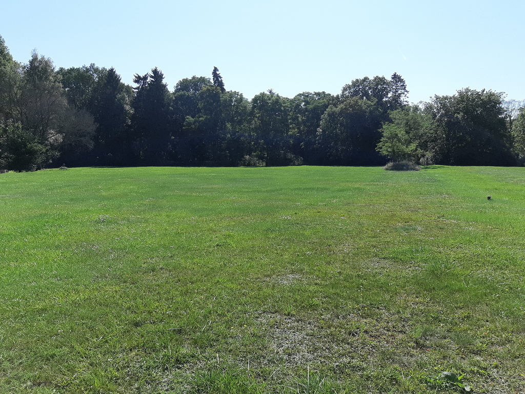 Rzędziny,2041m2,zabuowa jednorodzinna,las,park (2)