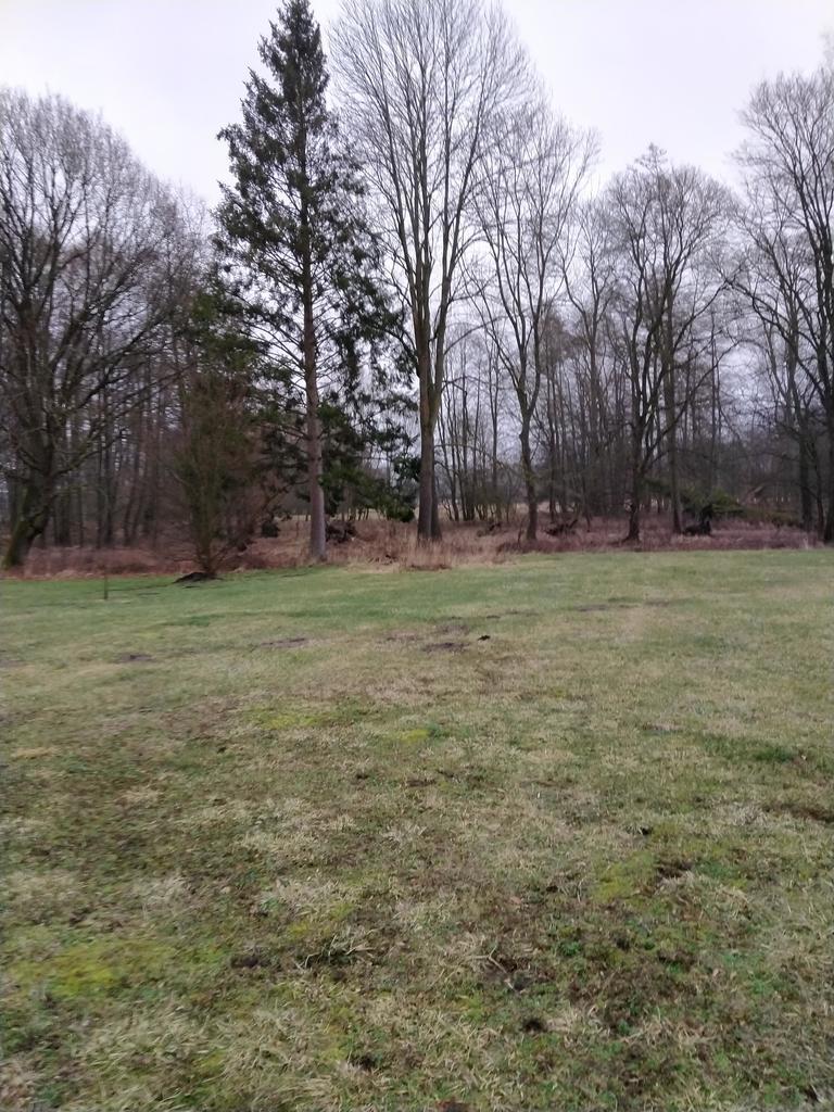 Rzędziny,2041m2,zabuowa jednorodzinna,las,park (6)