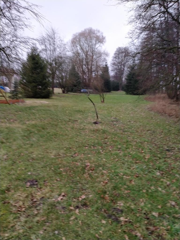Rzędziny,2041m2,zabuowa jednorodzinna,las,park (15)