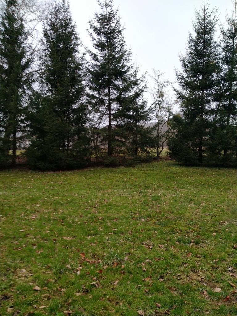 Rzędziny,2001m2,zabud. jednorodzinna,las-park. (4)