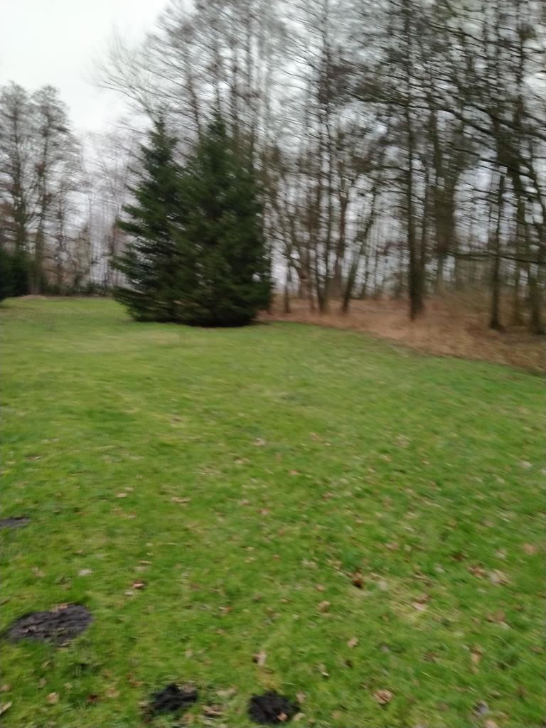 Rzędziny,2001m2,zabud. jednorodzinna,las-park. (3)