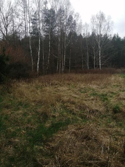 Działka 1100 m2,Stawno,pod lasem (6)