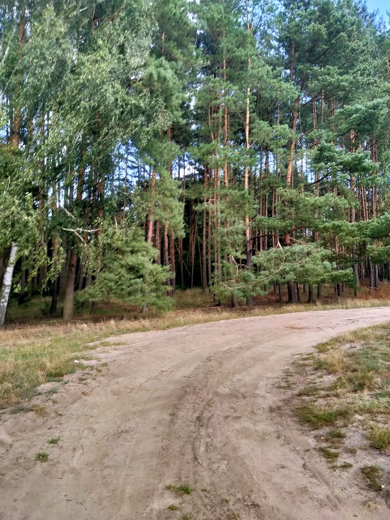 Działka Tanowo,0.3144ha,plan zagospod.-rolna. (2)