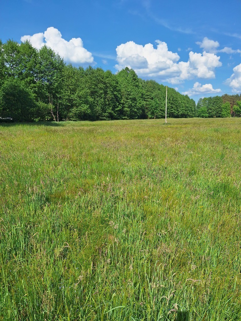 Działka Tanowo,0.3144ha,plan zagospod.-rolna. (4)
