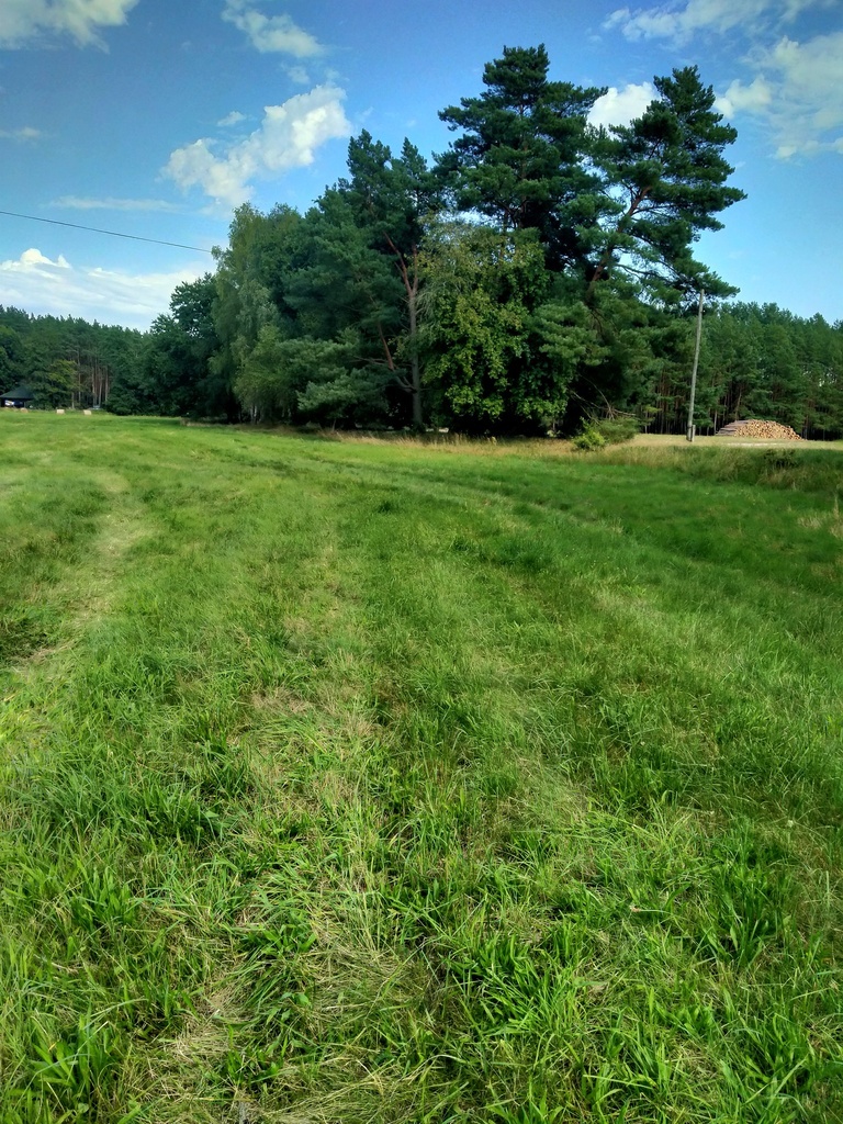 Działka Tanowo,0.3362ha,plan miejsc.-rolna. (9)