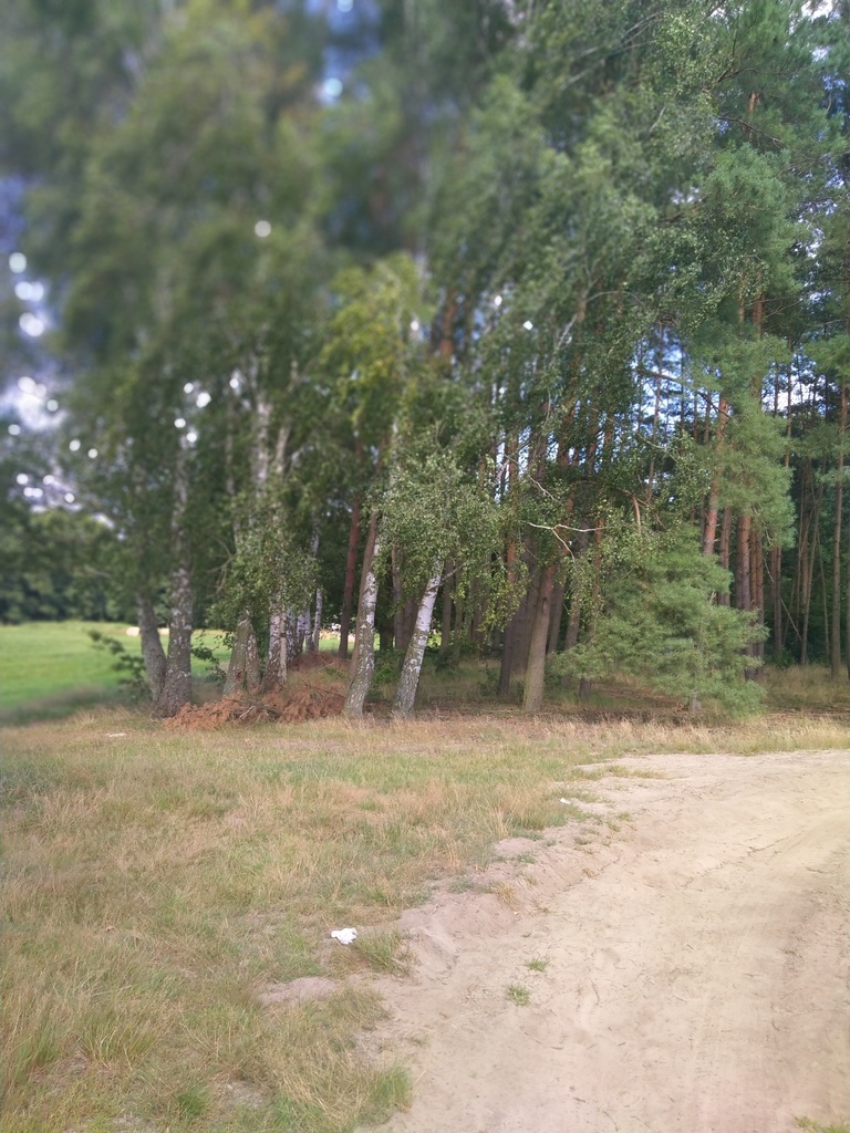 Działka Tanowo,0.3362ha,plan miejsc.-rolna. (11)