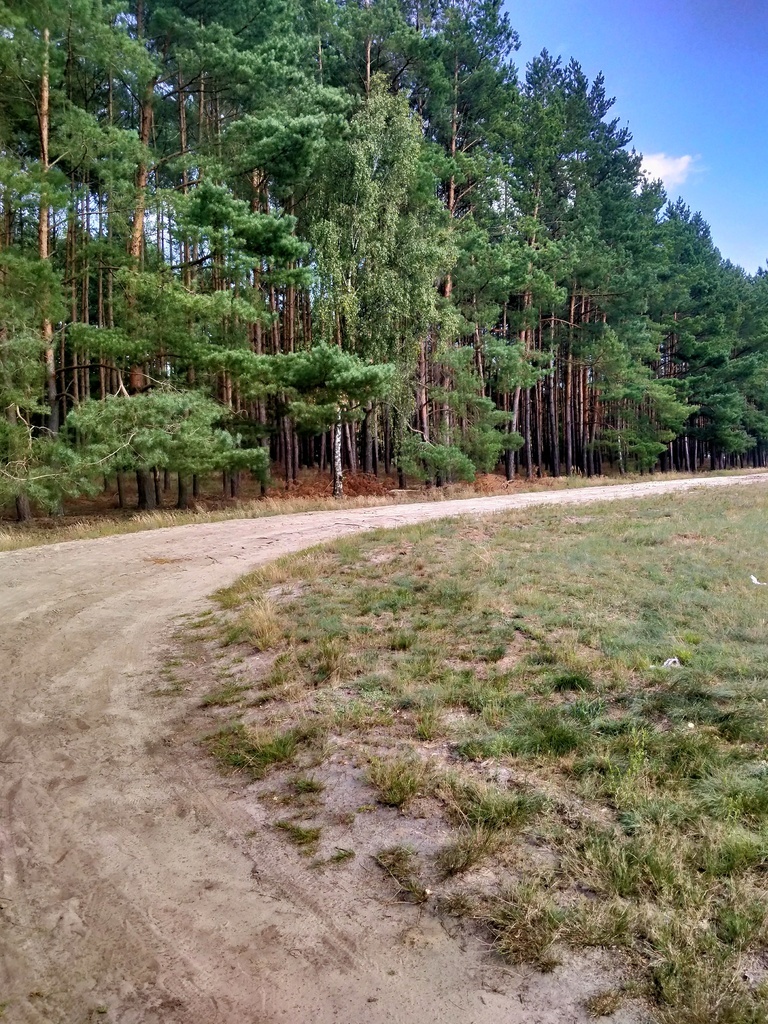 Działka Tanowo,0.3362ha,plan miejsc.-rolna. (4)