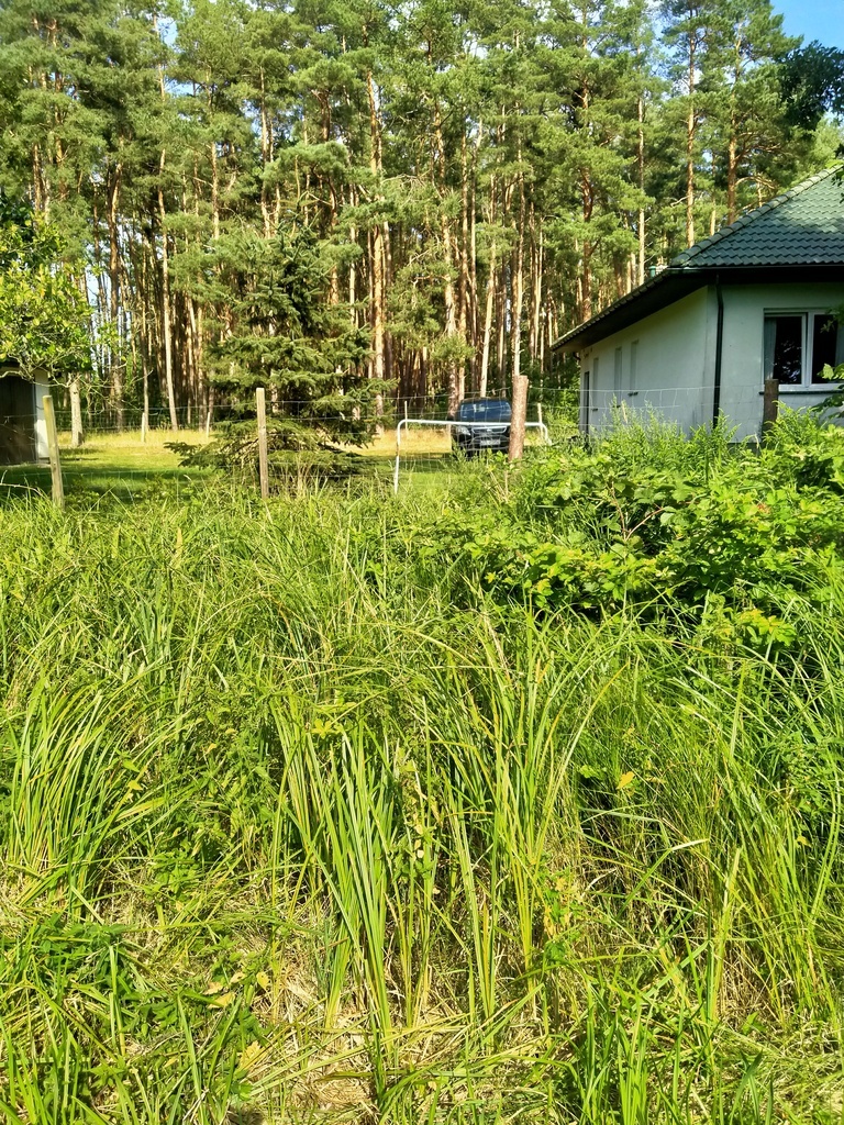 Działka Tanowo,0.3362ha,plan miejsc.-rolna. (6)