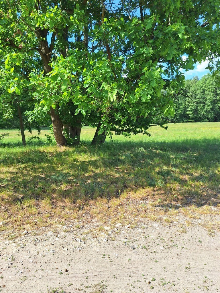 Działka Tanowo,0.3362ha,plan miejsc.-rolna. (8)