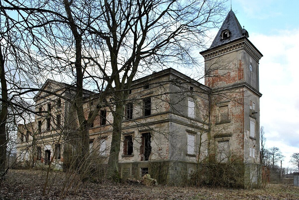 Pałac Wierzbięcin,gm.Nowogard,park-do remontu (3)