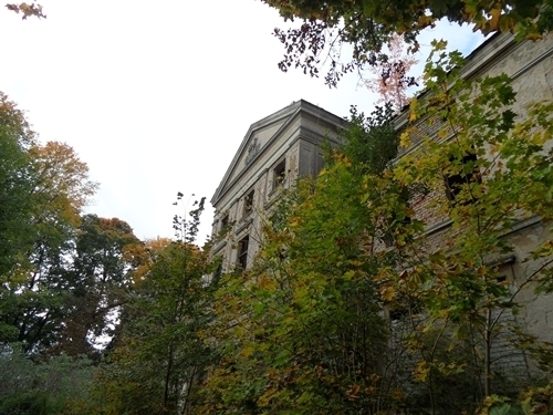 Pałac Wierzbięcin,gm.Nowogard,park-do remontu (10)
