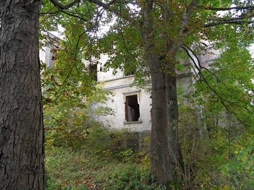 Pałac Wierzbięcin,gm.Nowogard,park-do remontu (12)