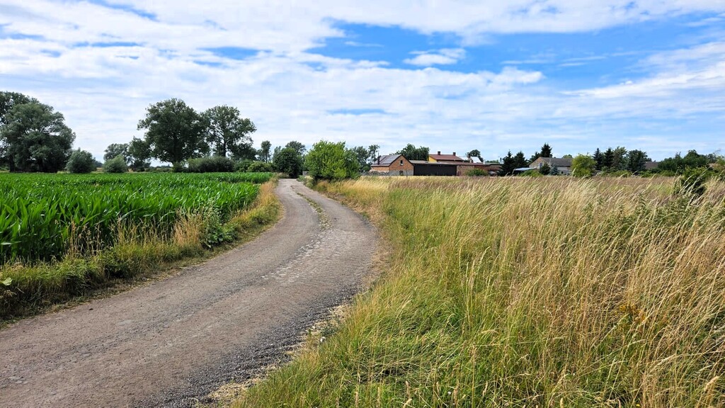 Działki z wydanymi WZ 3km od Pyrzyc (Rzepnowo) (1)