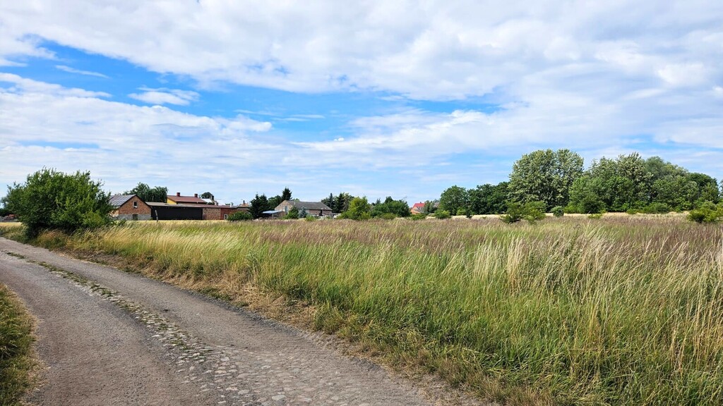 Działki z wydanymi WZ 3km od Pyrzyc (Rzepnowo) (13)
