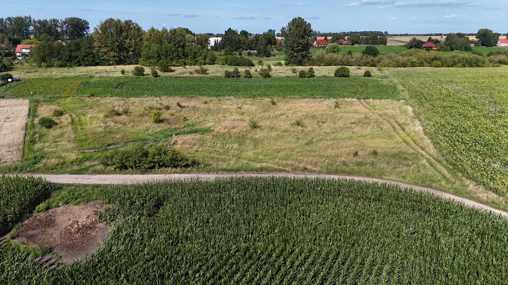 Działki z wydanymi WZ 3km od Pyrzyc (Rzepnowo) (5)