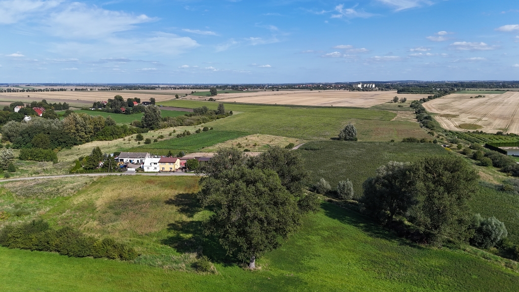 Działki z wydanymi WZ 3km od Pyrzyc (Rzepnowo) (10)