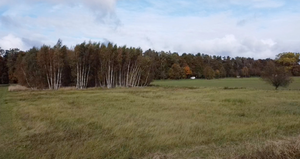 Działka 7 km od Bałtyku z DWZ (1)