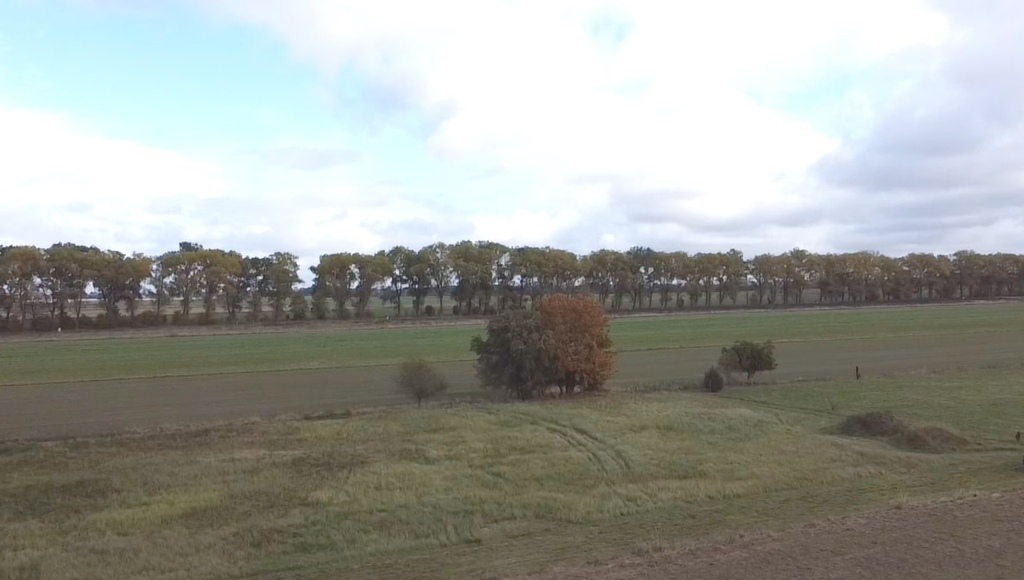 Działka 7 km od Bałtyku z DWZ (4)
