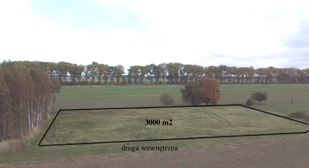 Działka 7 km od Bałtyku z DWZ (2)
