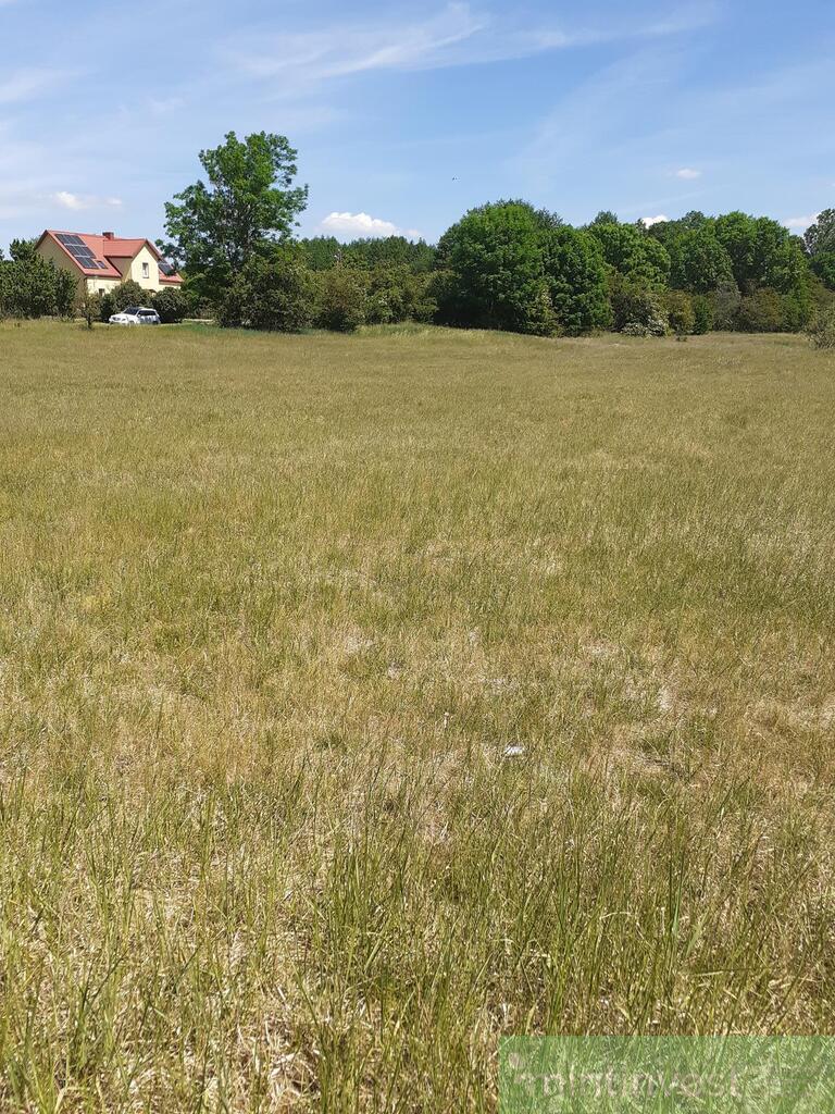 Działka w malowniczej okolicy (8)