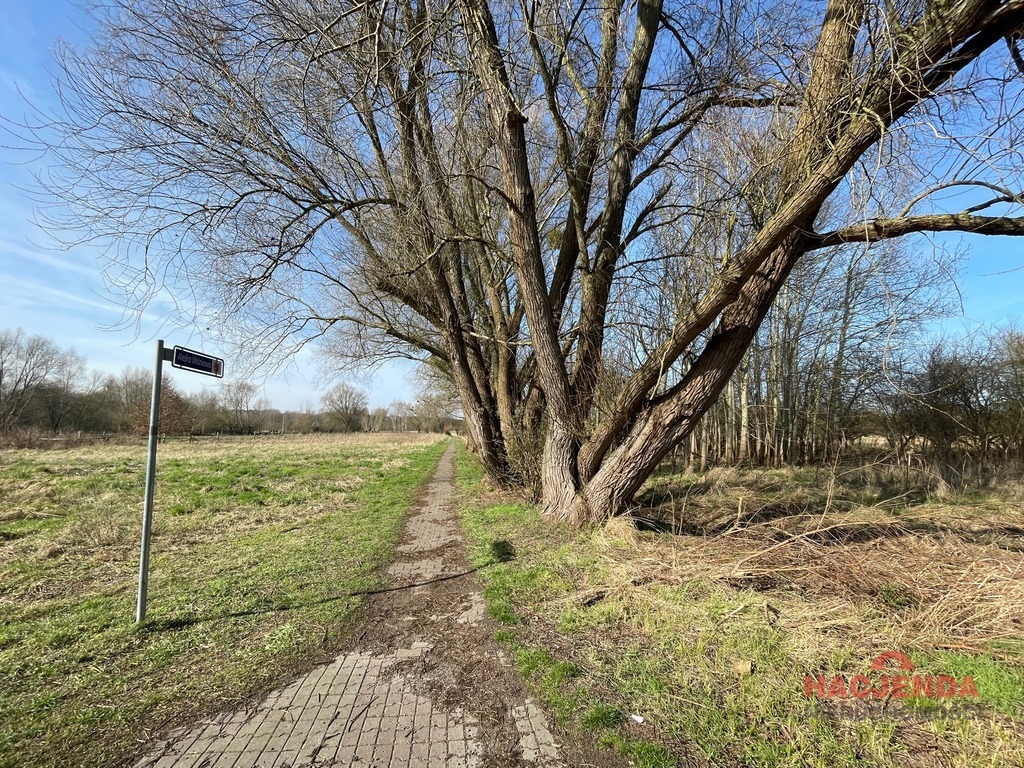 Budowlana, 4,800 m2, Trzebież  (5)