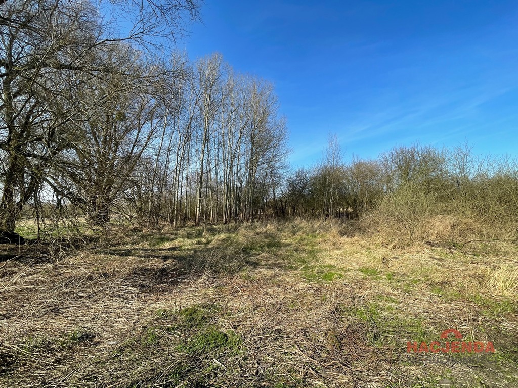 Budowlana, 4,800 m2, Trzebież  (1)