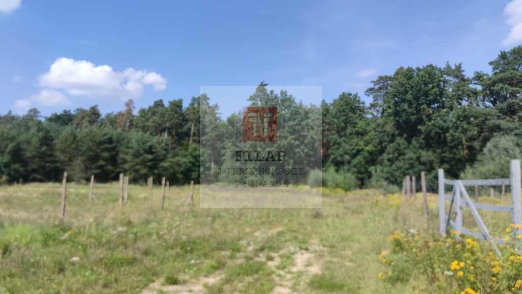 Piekna działka przy lesie z warunkami zabudowy!!! (3)