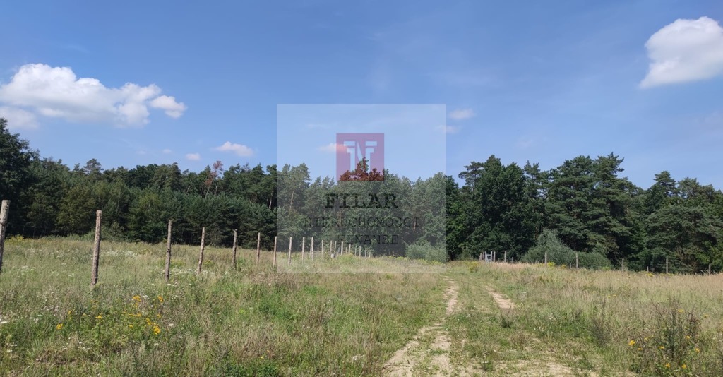 Piekna działka przy lesie z warunkami zabudowy!!! (4)