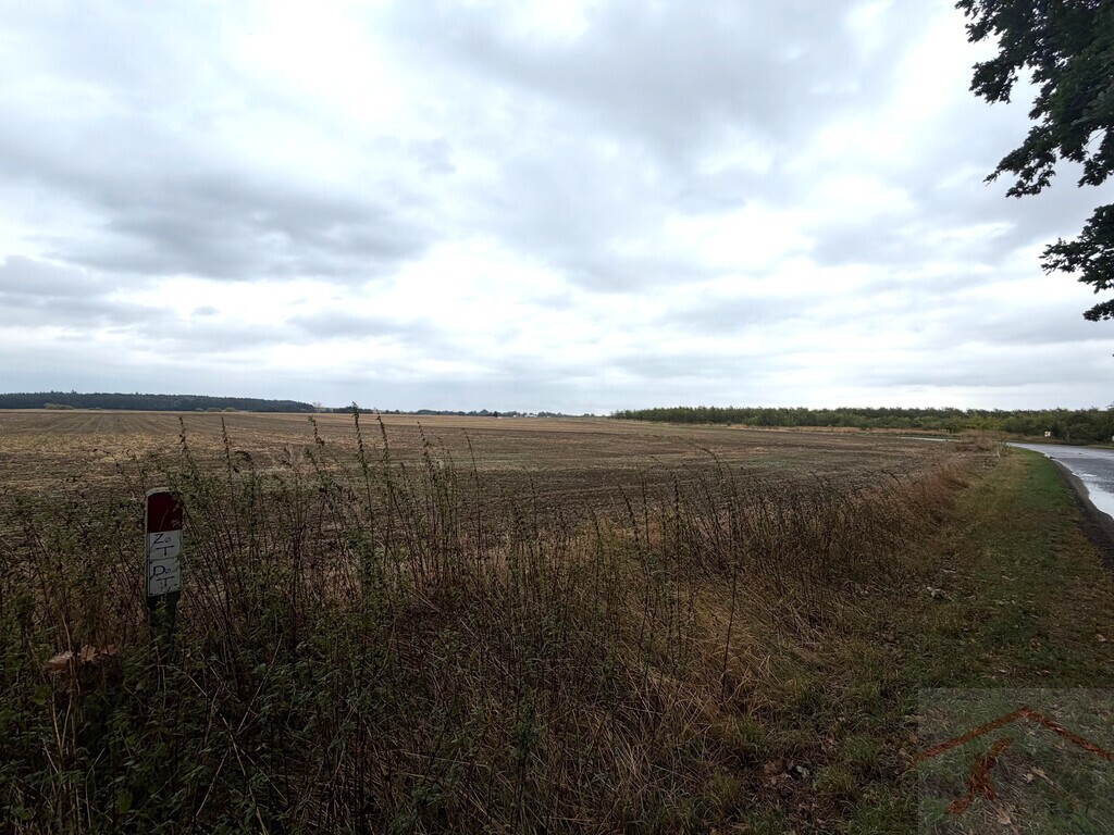 Działka inwestycyjna 1,76 ha | WZ na 14 domów | Pyrzyce (2)