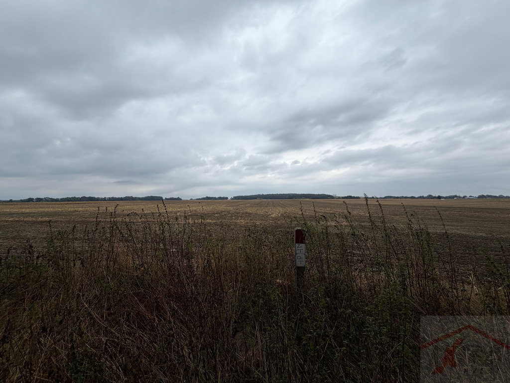 Działka inwestycyjna 1,76 ha | WZ na 14 domów | Pyrzyce (5)