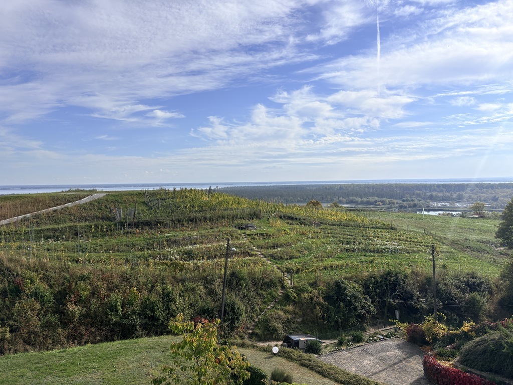 Parter domu 60m2, 3 pokoje, piękny widok na wodę i winnicę, ogród (15)