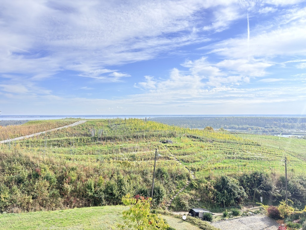 Parter domu 60m2, 3 pokoje, piękny widok na wodę i winnicę, ogród (18)