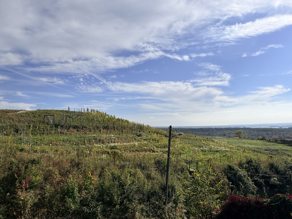 Parter domu 60m2, 3 pokoje, piękny widok na wodę i winnicę, ogród (21)