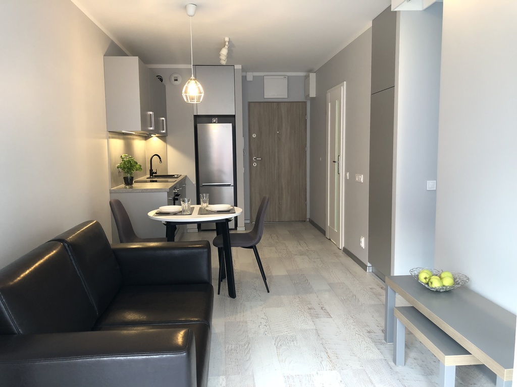 Do wynajęcia mieszkanie 31m2 - Pogodno II (3)