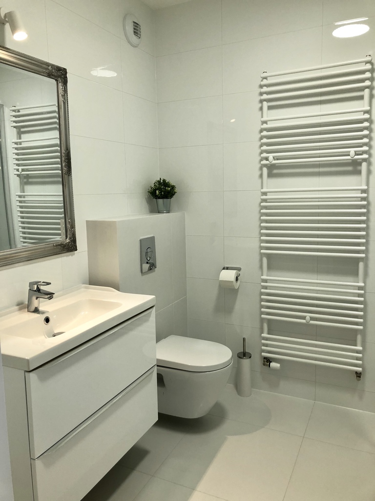 Do wynajęcia mieszkanie 31m2 - Pogodno II (8)