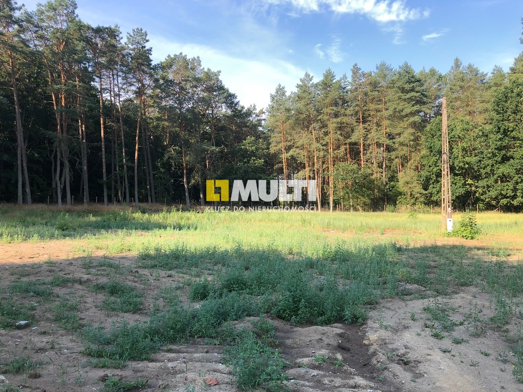 TRZEBIEŻ DZIAŁKA 1952m2 OTOCZONA LASEM (1)