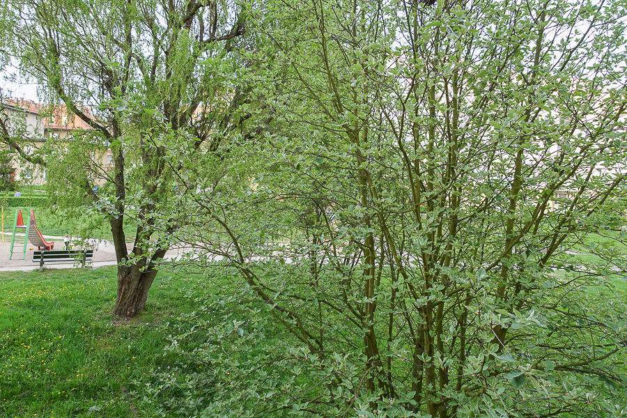 os. Książąt Pomorskich 2 pok. 46m2 2600 zł Ip. (18)