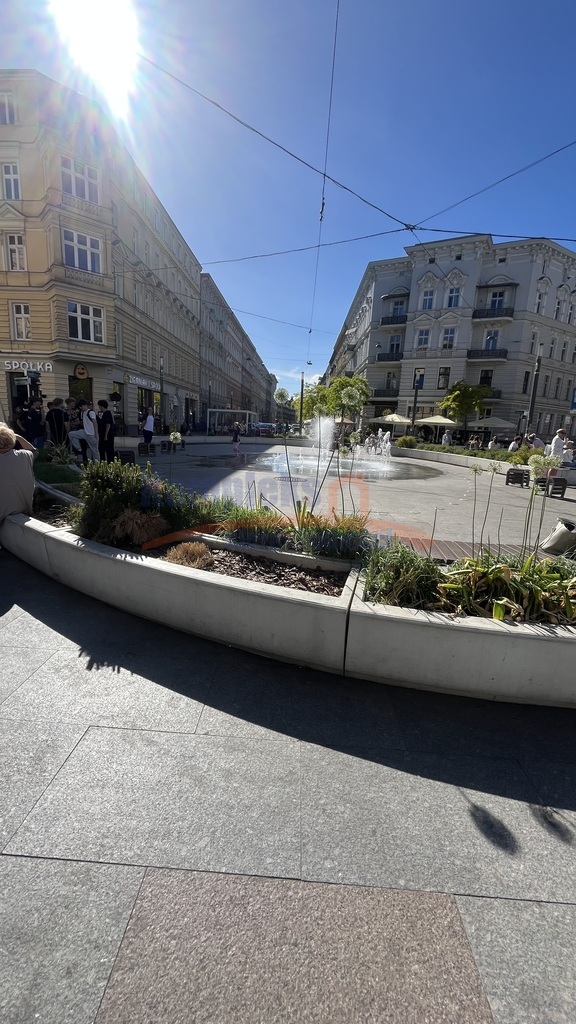 Lokal doskonały  również pod gastronomię Centrum. (13)