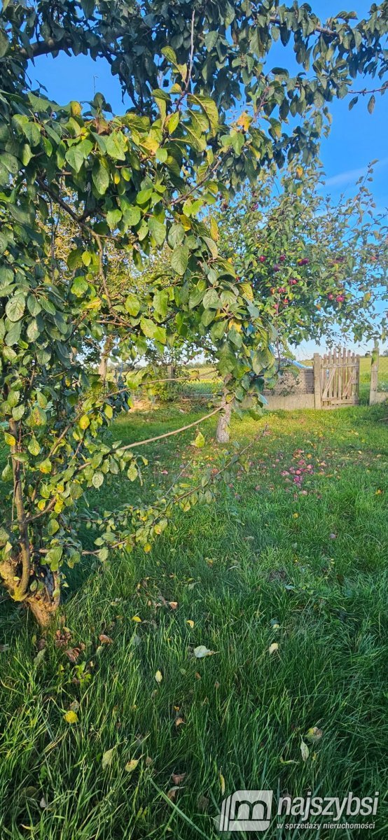WĘGORZYNO-MIESZKANIE 3 POKOJOWE Z BALKONEM  (19)