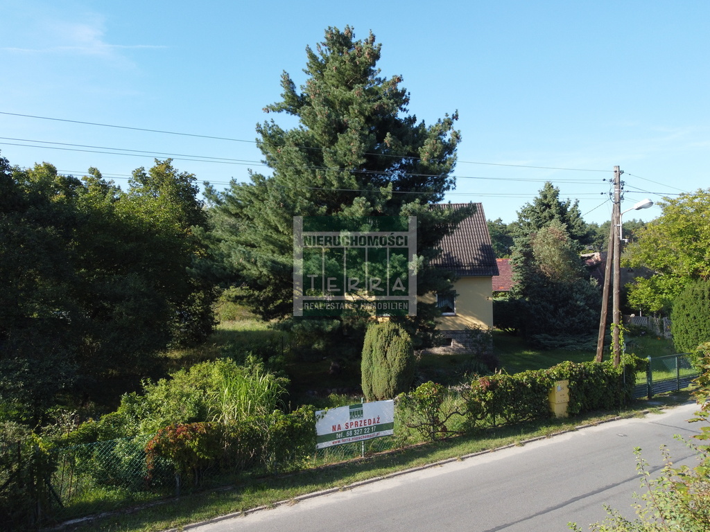 Przylep - 4500 m2 możliwości: dom lub inwestycja (4)
