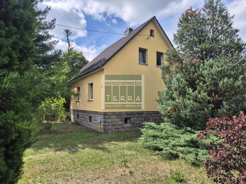 Przylep - 4500 m2 możliwości: dom lub inwestycja (9)