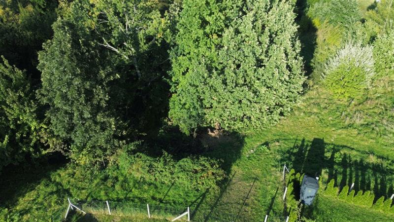 Działka rolno-rekreacyjna 2,25 ha z WZ Porost (4)