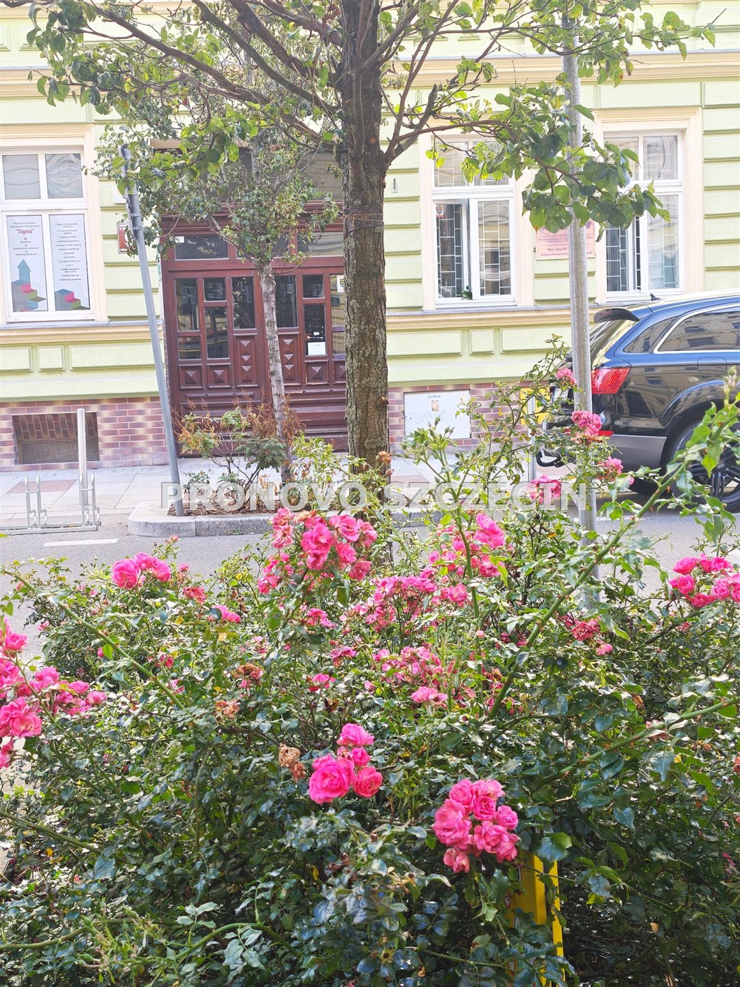 Szczecin, Śródmieście, Małkowskiego,mieszkanie, (26)
