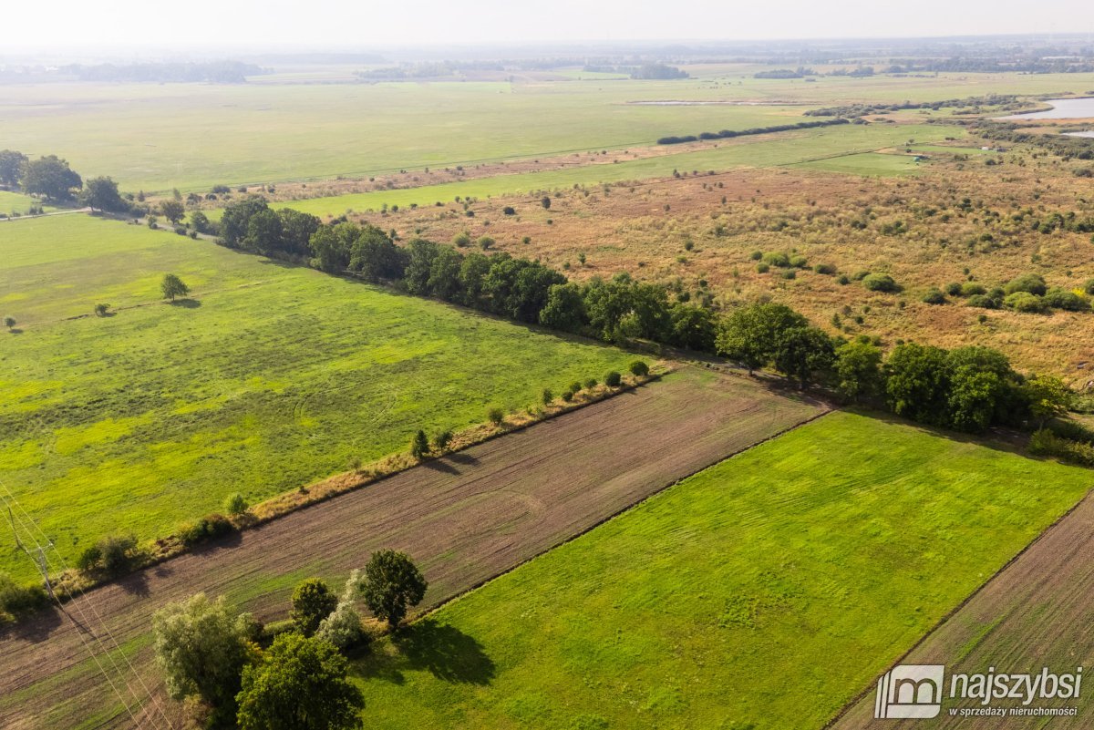 Giżyn, Pyrzyce - działki 3,69ha (10)