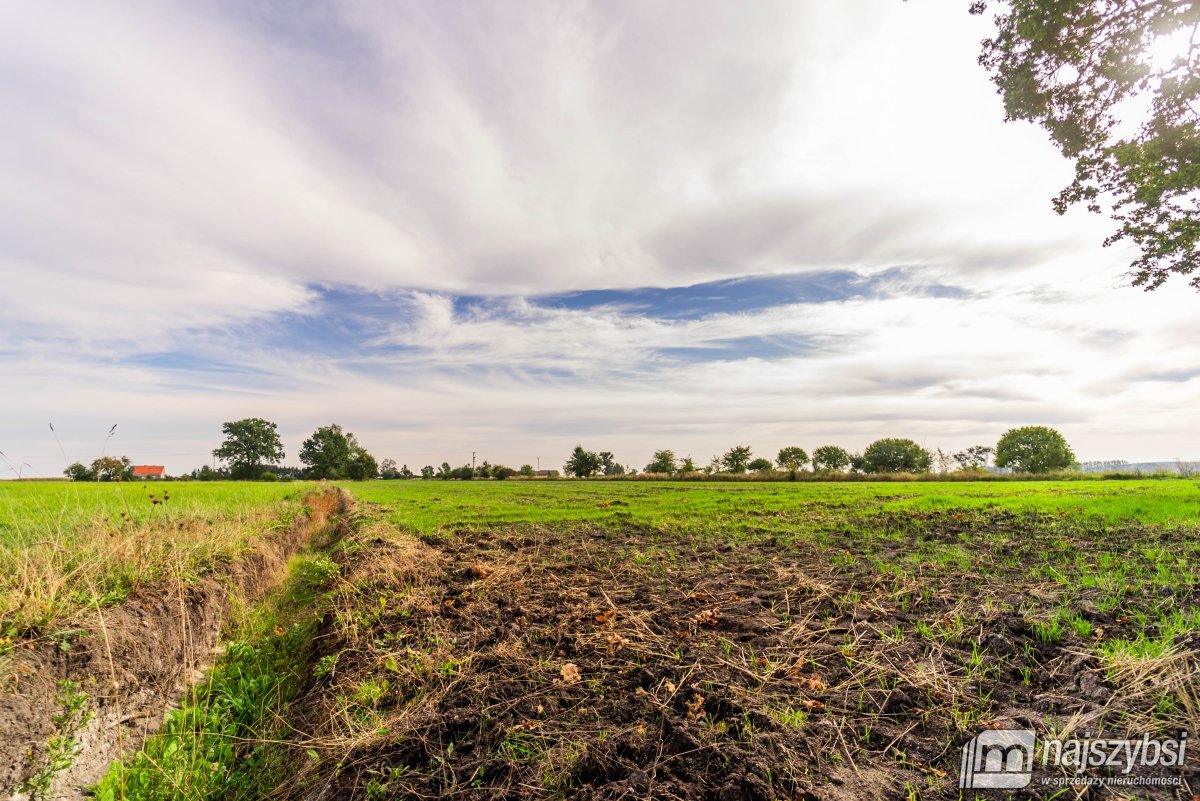 Giżyn, Pyrzyce - działki 3,69ha (12)